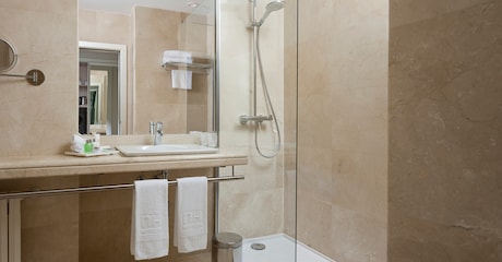 Room Premium room with terrace